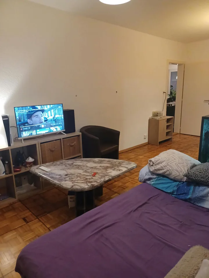 Charmantes 3.5-Zimmer-Wohnung in Freiburg – Foto 3 von 8