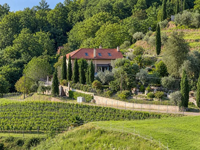 Villa mit Charme in der Natur – Foto 2 von 11