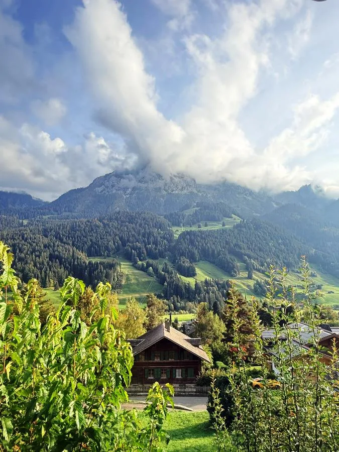 Charmantes 3,5-Zimmer-Wohnung mit Terrasse und Berg- und Talblick in Rougemont – Foto 17 von 19
