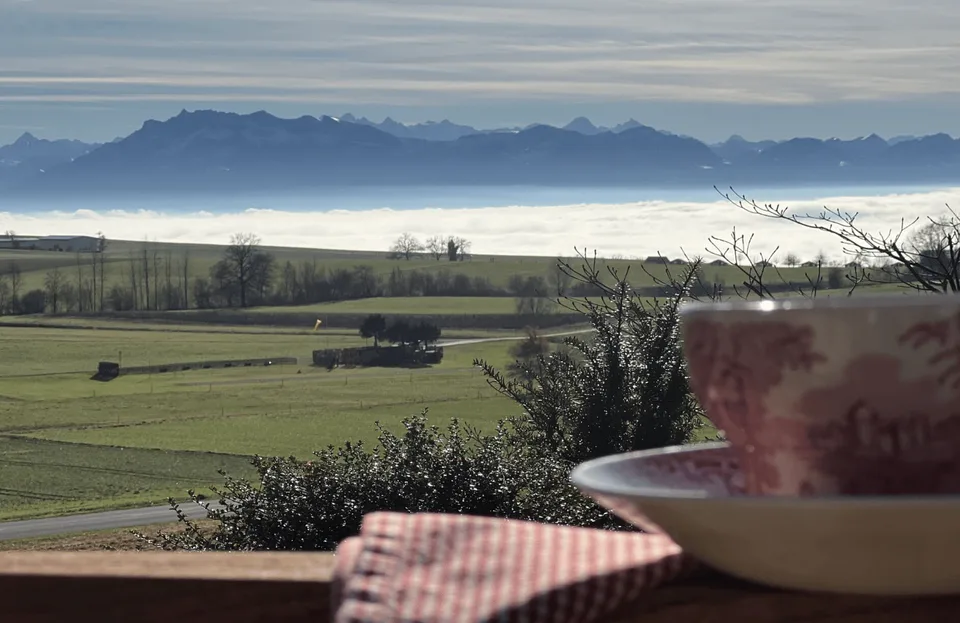 IDYLLE FAMILIALE EXCLUSIVE - SITUATION DE PREMIER ORDRE DEVANT UN PANORAMA ALPIN – photo 4 sur 12