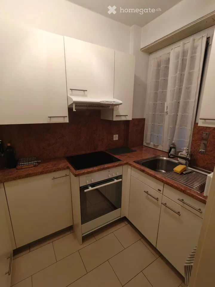 Massagno 2,5-Zimmer-Wohnung, 1km vom Zentrum von Lugano – Foto 5 von 5
