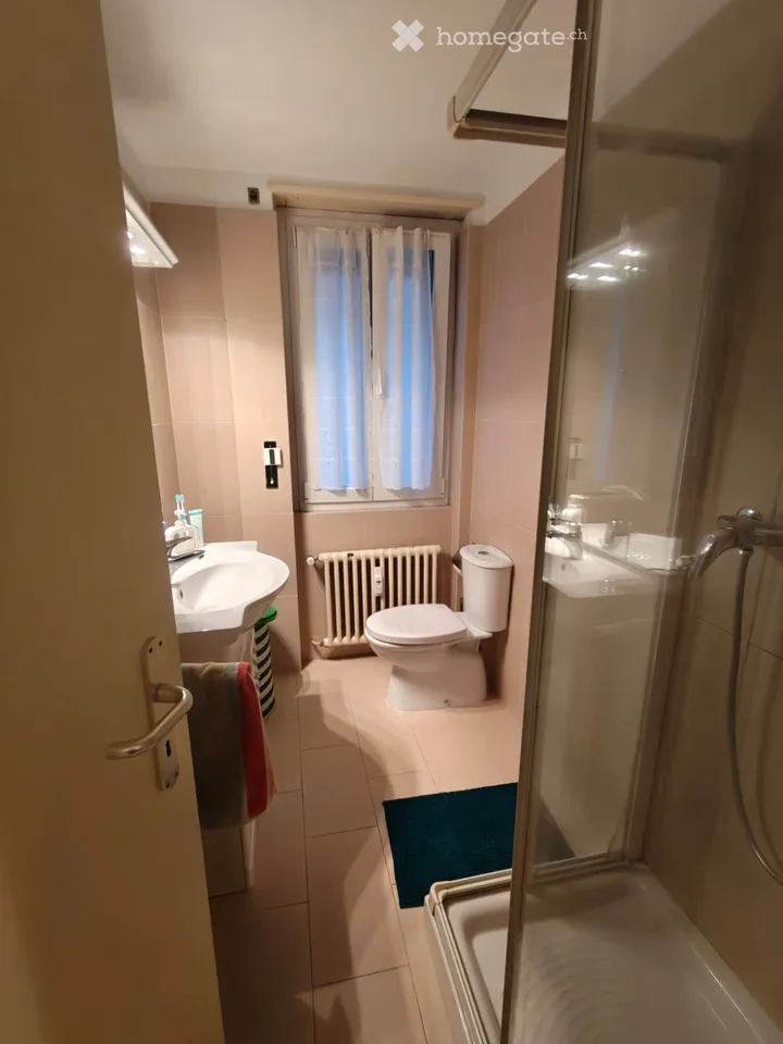 Massagno 2,5-Zimmer-Wohnung, 1km vom Zentrum von Lugano – Foto 3 von 5
