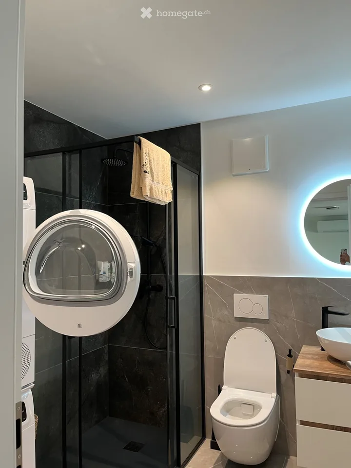 Ich suche einen Nachmieter für 2½ Zimmer in einer neuen Wohnung – Foto 4 von 5