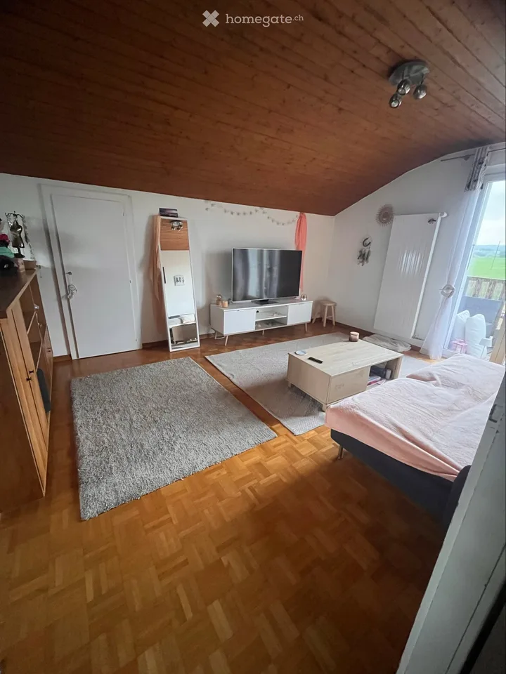 Zu vermieten 2.5-Zimmer-Wohnung – Foto 2 von 5