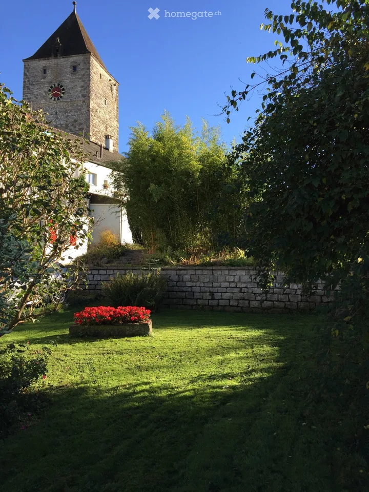 Maisonnette 5,5 pièces + appartement 1,5 pièces au rez-de-chaussée avec espace commercial à Kaiserstuhl + terrain en Allemagne – photo 23 sur 30