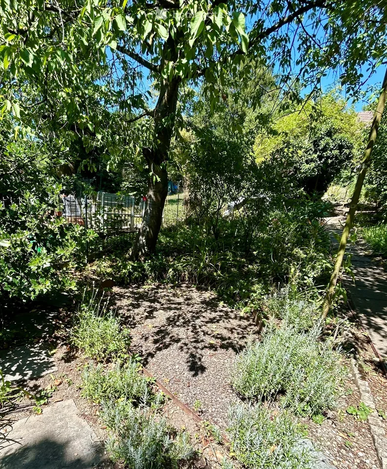 Flair de la vieille ville et générosité – vivre dans la historique « Felsenburg » avec utilisation du jardin – photo 13 sur 14