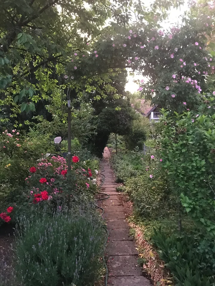Flair de la vieille ville et générosité – vivre dans la historique « Felsenburg » avec utilisation du jardin – photo 11 sur 14