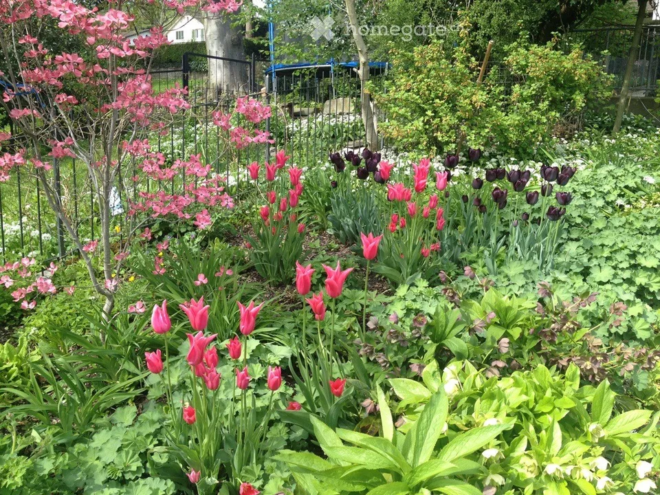 Flair de la vieille ville et générosité – vivre dans la historique « Felsenburg » avec utilisation du jardin – photo 14 sur 14