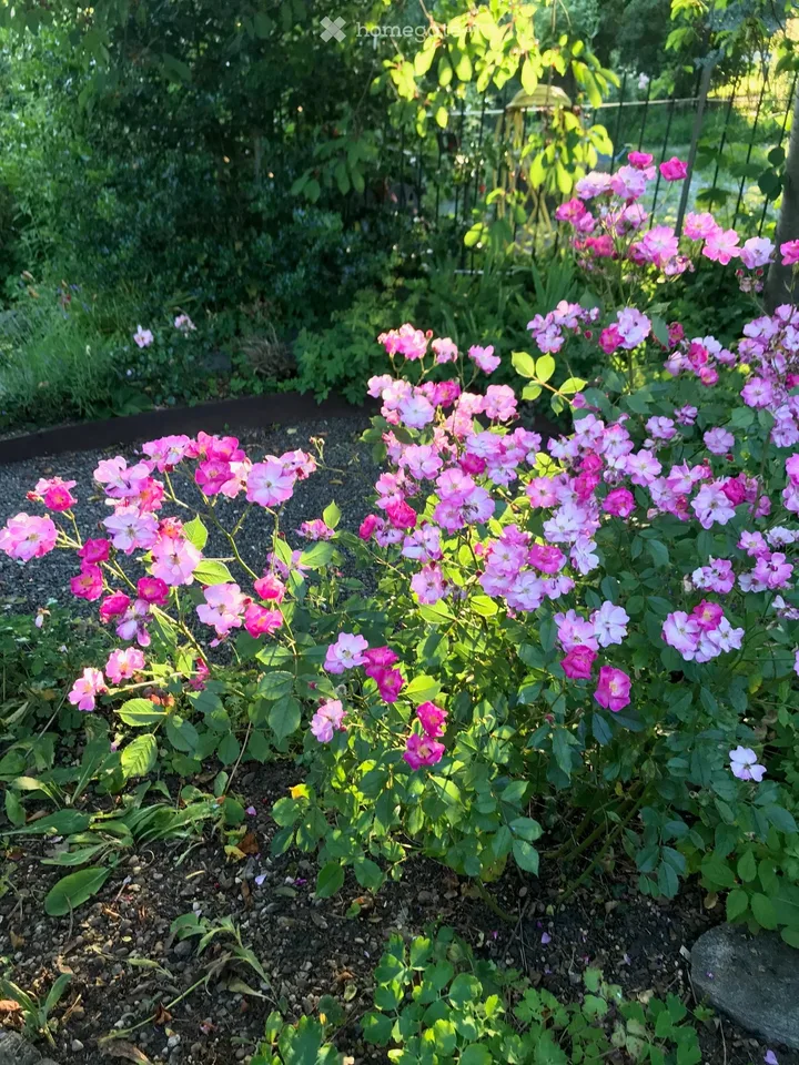 Flair de la vieille ville et générosité – vivre dans la historique « Felsenburg » avec utilisation du jardin – photo 12 sur 14