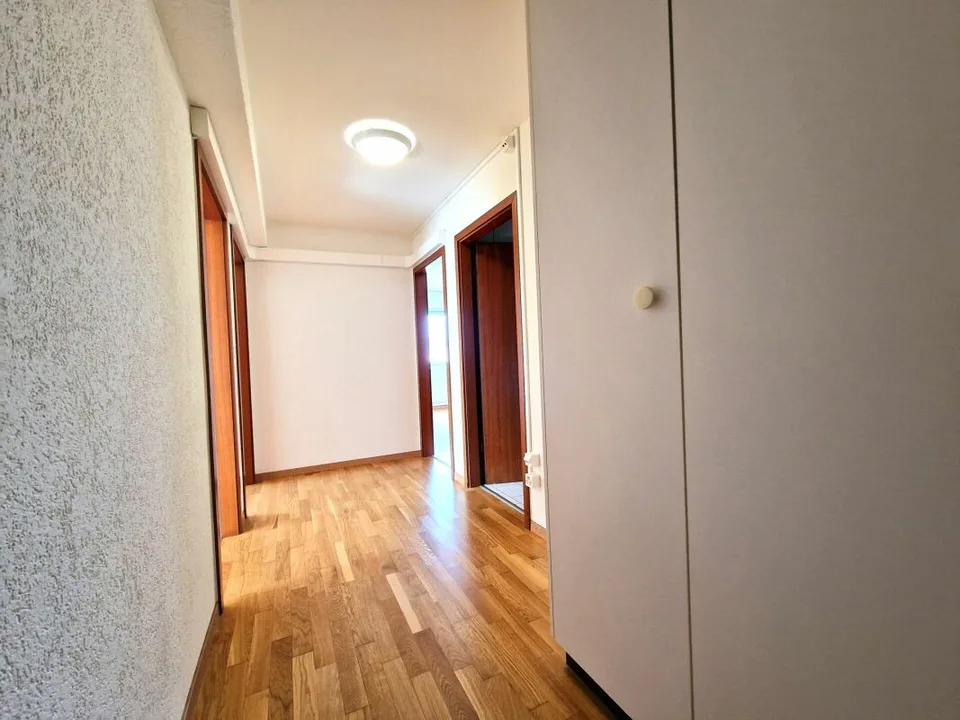 Spacieux appartement de 5.5 pièces – photo 4 sur 12