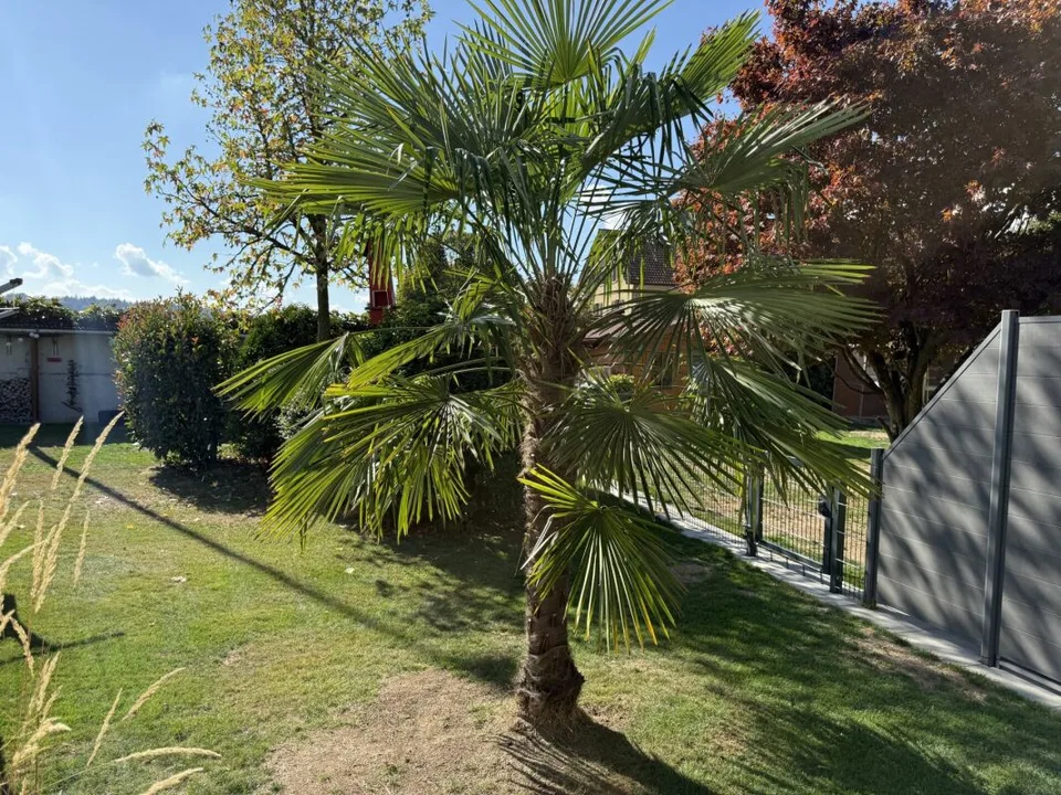 Renoviertes Einfamilienhaus mit einem Wintergarten – Foto 22 von 28