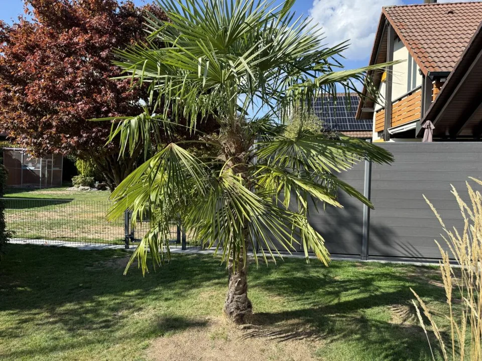 Renoviertes Einfamilienhaus mit einem Wintergarten – Foto 23 von 28