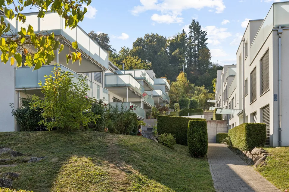 Vita moderna vicino a Zurich-City – foto 2 di 12
