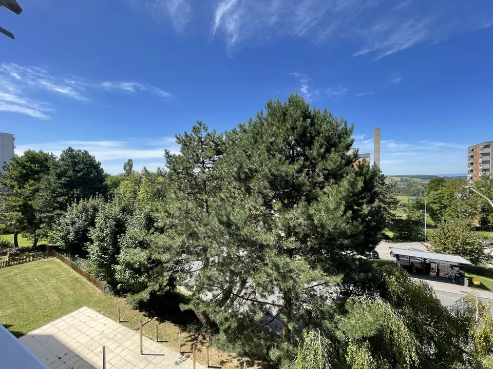 1 Zimmer Wohnung in Fribourg – Foto 3 von 3