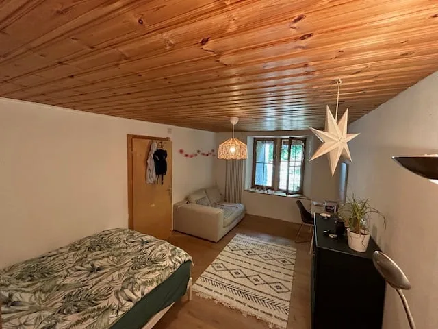 Incantevole appartamento 3 ½ locali in un edificio storico con vista lago e terrazza privata grande a Ligerz – foto 7 di 9