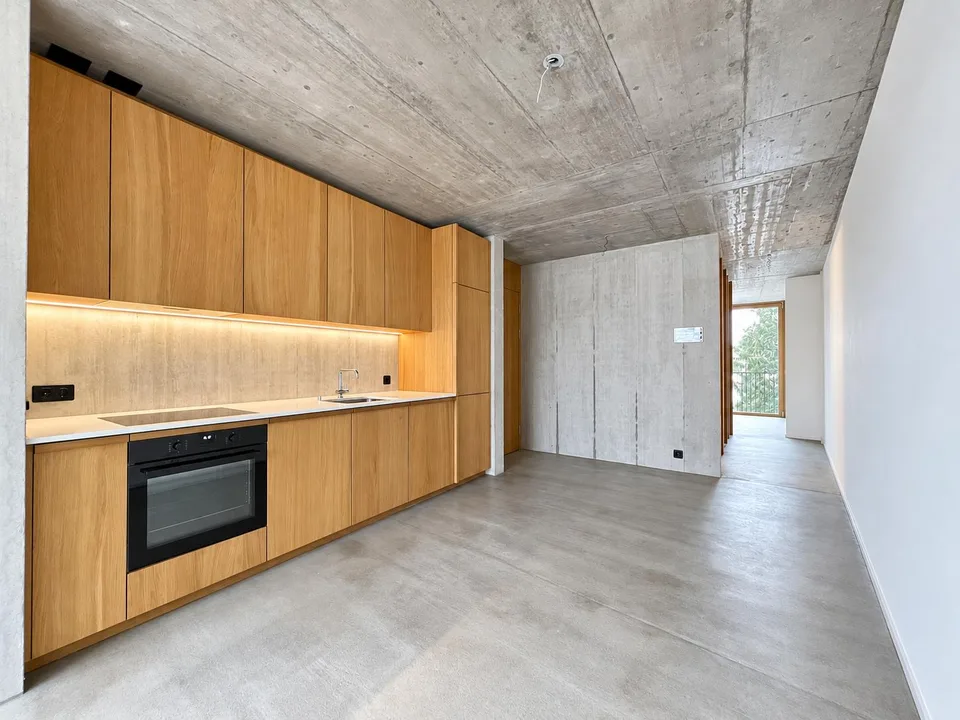Modern concrete-style apartment near Spalentor – photo 3 of 10