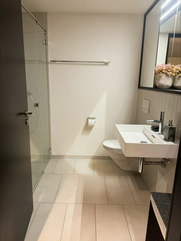 Appartement meublé 2 pièces à Baden (temporaire) – photo 7 sur 9