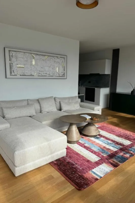 Appartement meublé 2 pièces à Baden (temporaire) – photo 2 sur 9