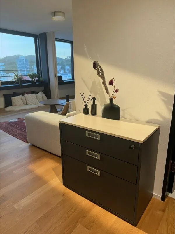 Appartement meublé 2 pièces à Baden (temporaire) – photo 9 sur 9