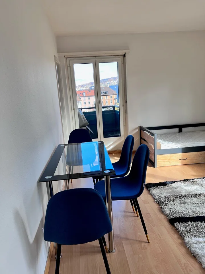 Logement meublé à Wiedikon – Appartement 1 pièce central en sous-location minimum 6 mois!! – photo 4 sur 5