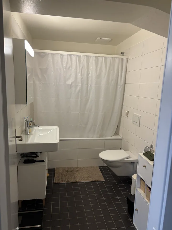 Helle 2-Zimmer-Loft an der Kontrollstrasse in Biel – Foto 6 von 8