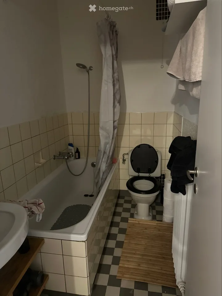 Untermiete 2-1/2 Zimmer Wohnung befristet bis 30. April 2027 – Foto 4 von 5
