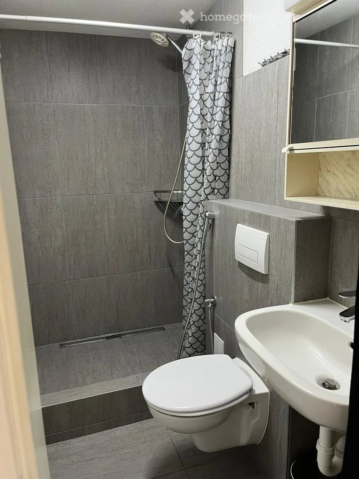 KLEINES STUDIO IN 4553 SUBINGEN ZU VERMIETEN 750.- – Foto 4 von 5