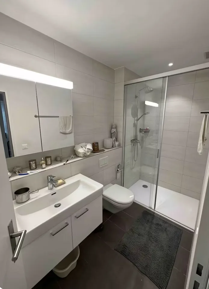 2½ ZI-WOHNUNG IN LIESTAL (BL), MÖBLIERT, TEMPORÄR – foto 7 di 9