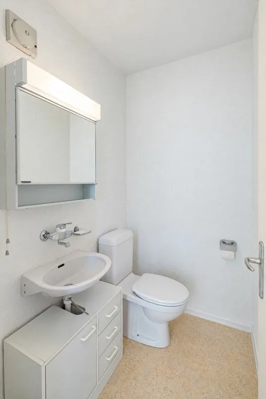 3.5 Zimmer Attika-Terrassenwohnung mit See- und Alpensicht – Foto 10 von 17
