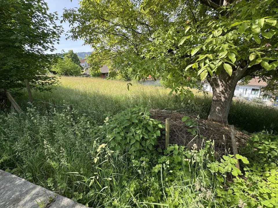 Terreno edificabile, ad es. per villa, DEFH, 3 appartamenti – foto 2 di 3