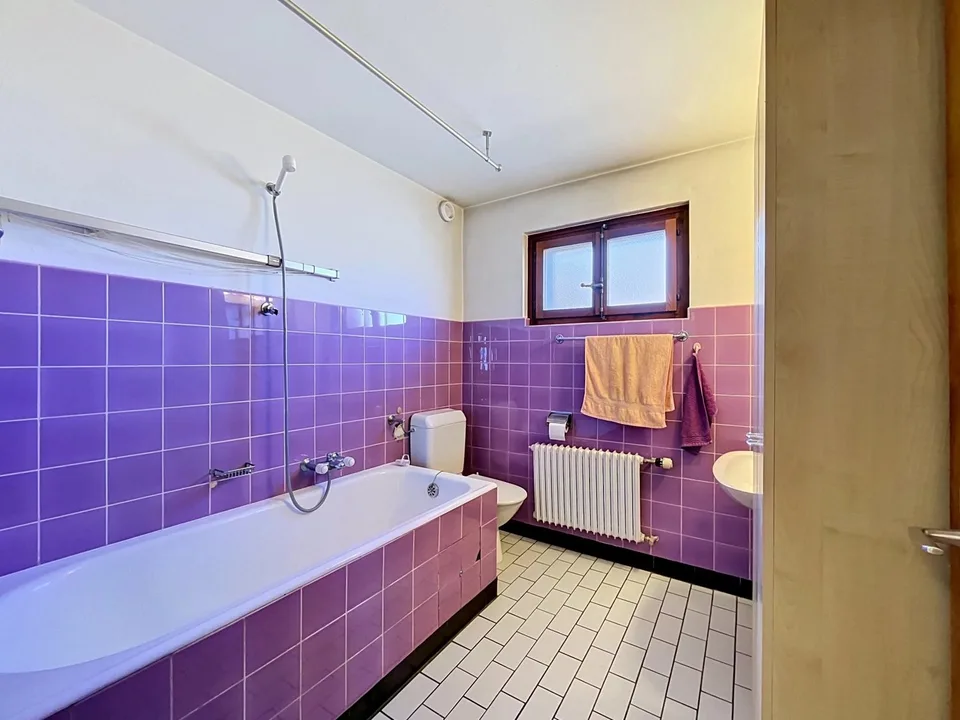 Großes Haus mit 2 Apartments und geräumiger Garage – Foto 6 von 13