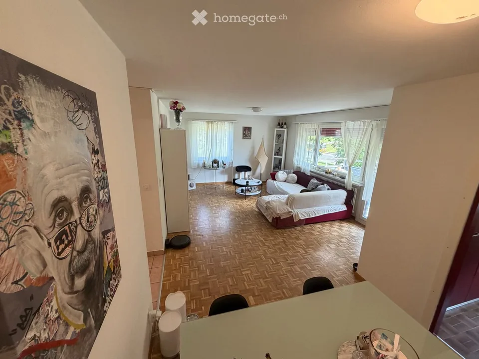 Wir suchen einen Nachmieter für eine Wohnung in Roveredo – Foto 6 von 9