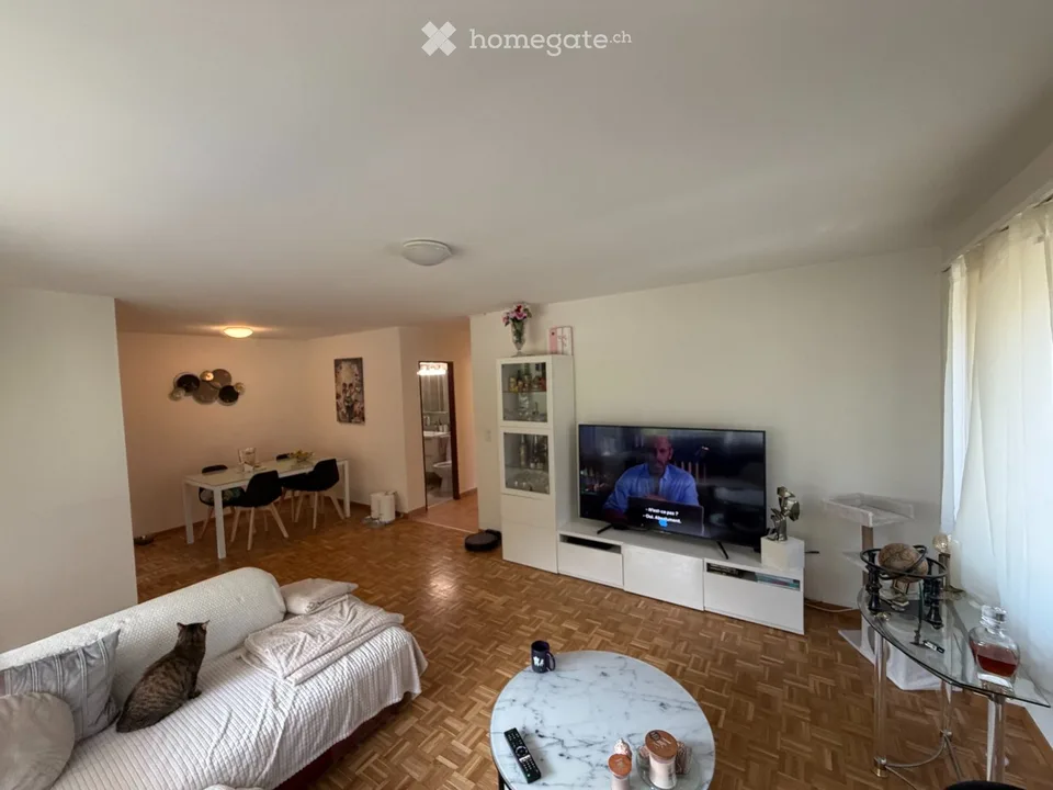 Wir suchen einen Nachmieter für eine Wohnung in Roveredo – Foto 8 von 9
