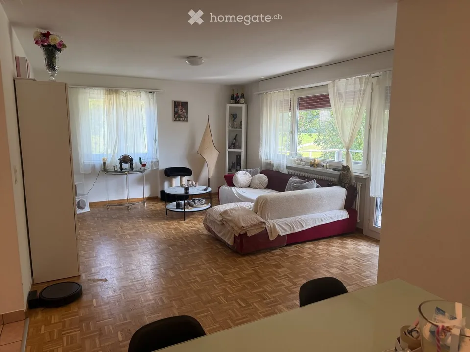 Wir suchen einen Nachmieter für eine Wohnung in Roveredo – Foto 5 von 9