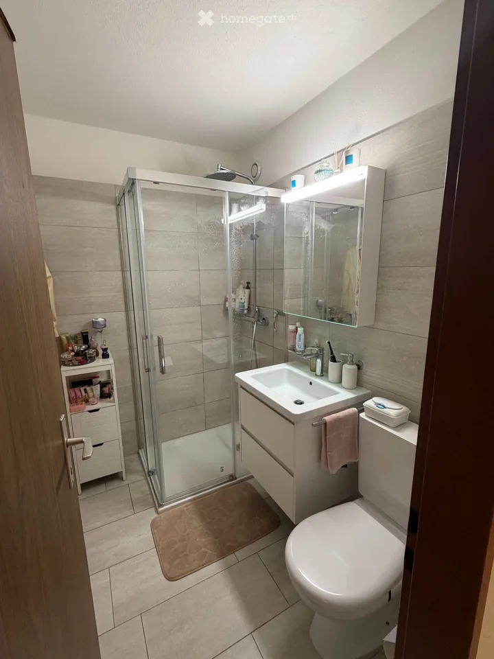 Wir suchen einen Nachmieter für eine Wohnung in Roveredo – Foto 7 von 9