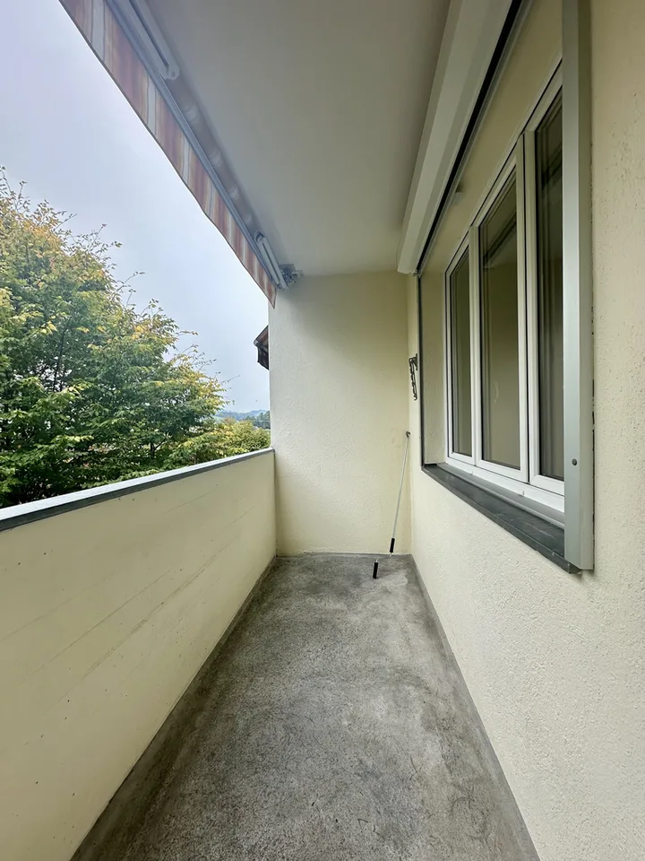 Appartement charmant au cœur de Wald ZH – photo 3 sur 8