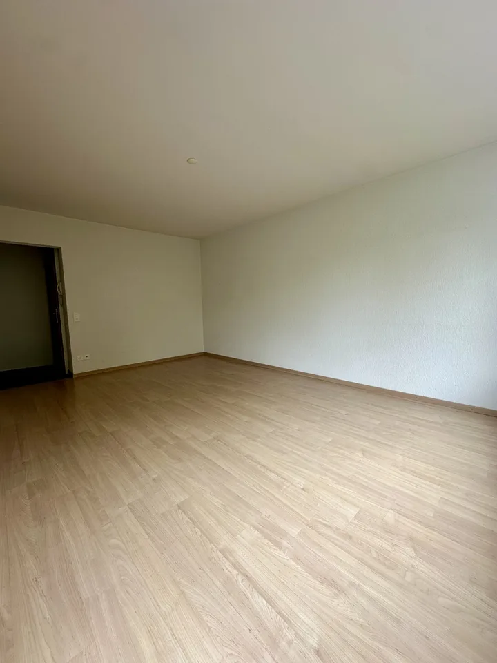 Appartement charmant au cœur de Wald ZH – photo 2 sur 8