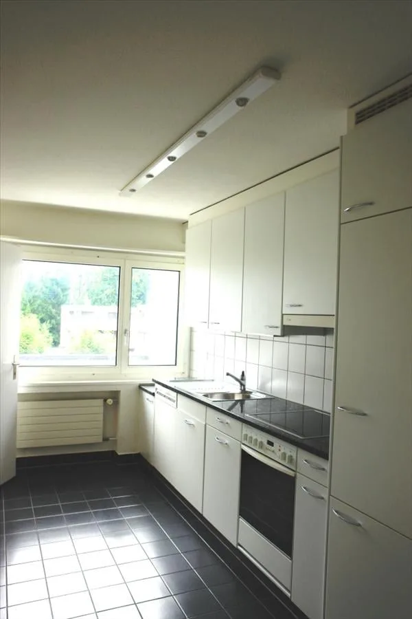 Vivere in una posizione soleggiata con vista sul lago – foto 3 di 10