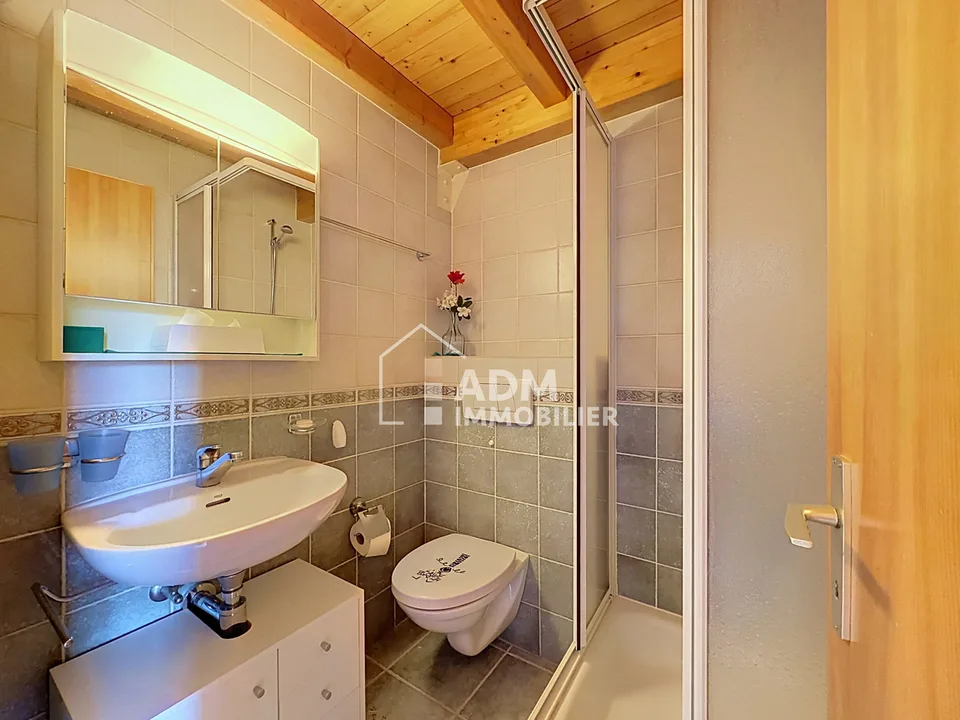 1.5 Zimmer möbl. Wohnobjekt in Ovronnaz – Foto 13 von 13