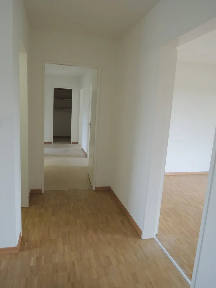Bello appartamento luminoso 3.5 locali a Wetzikon ZH – foto 4 di 8