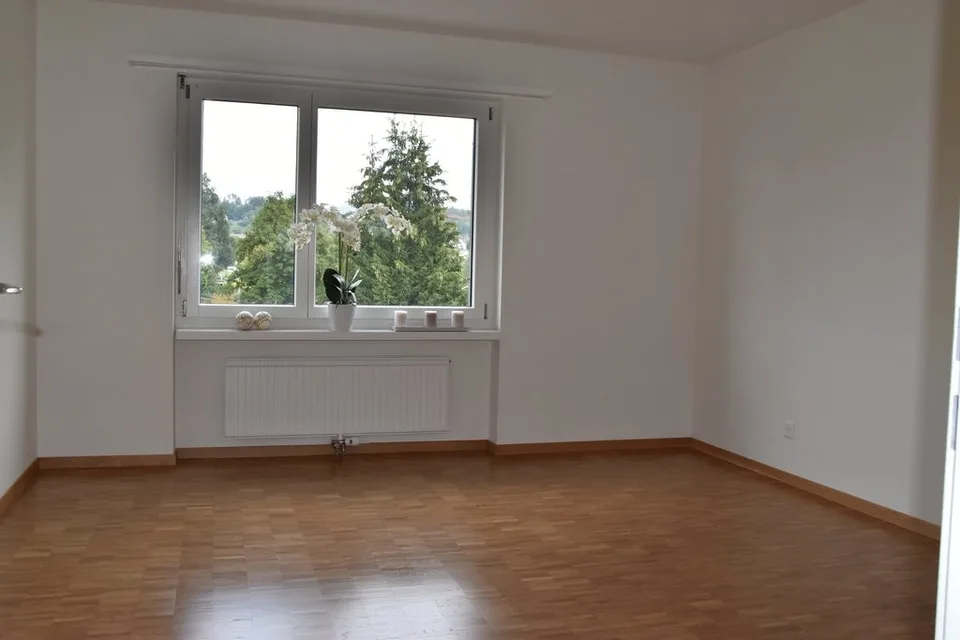 Bello appartamento luminoso 3.5 locali a Wetzikon ZH – foto 7 di 8