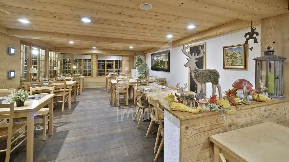 Charming Hotel Restaurant in Diablerets – photo 11 of 13