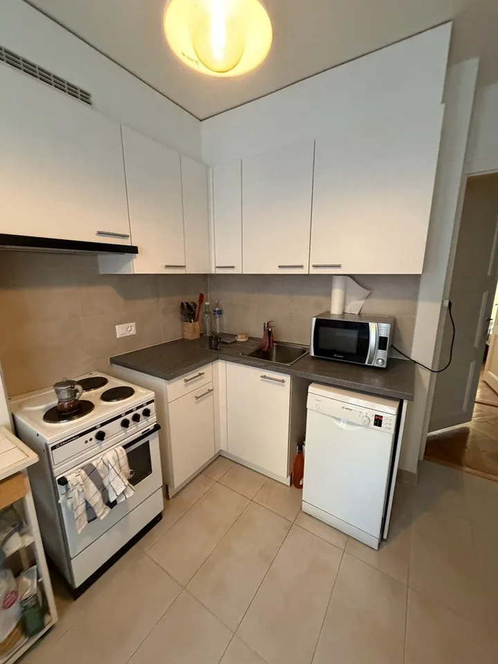 A saisir ! Magnifique appartement à Carouge ! – photo 3 sur 6