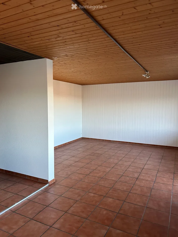 Appartamento luminoso e tranquillo di 4,5 locali all'ultimo piano con una vista meravigliosa – foto 8 di 24