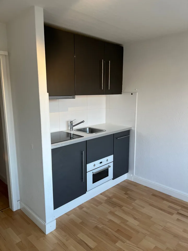 Appartement 2 pièces rénové avec vue, calme et bien situé à La Chaux-de-Fonds – photo 4 sur 10