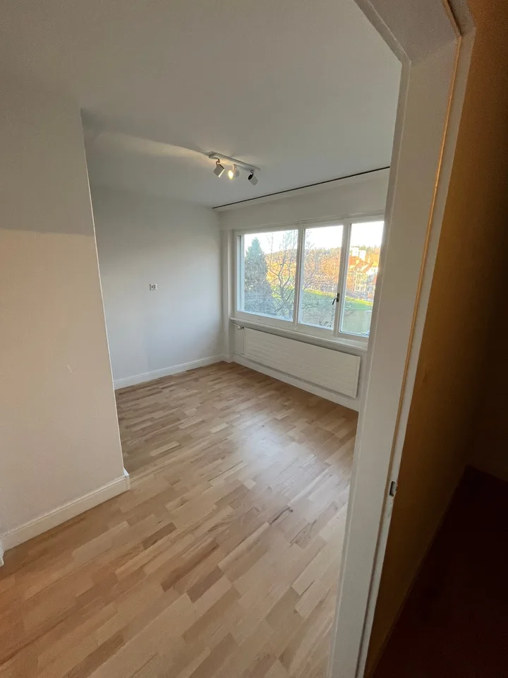 Appartement 2 pièces rénové avec vue, calme et bien situé à La Chaux-de-Fonds – photo 5 sur 10