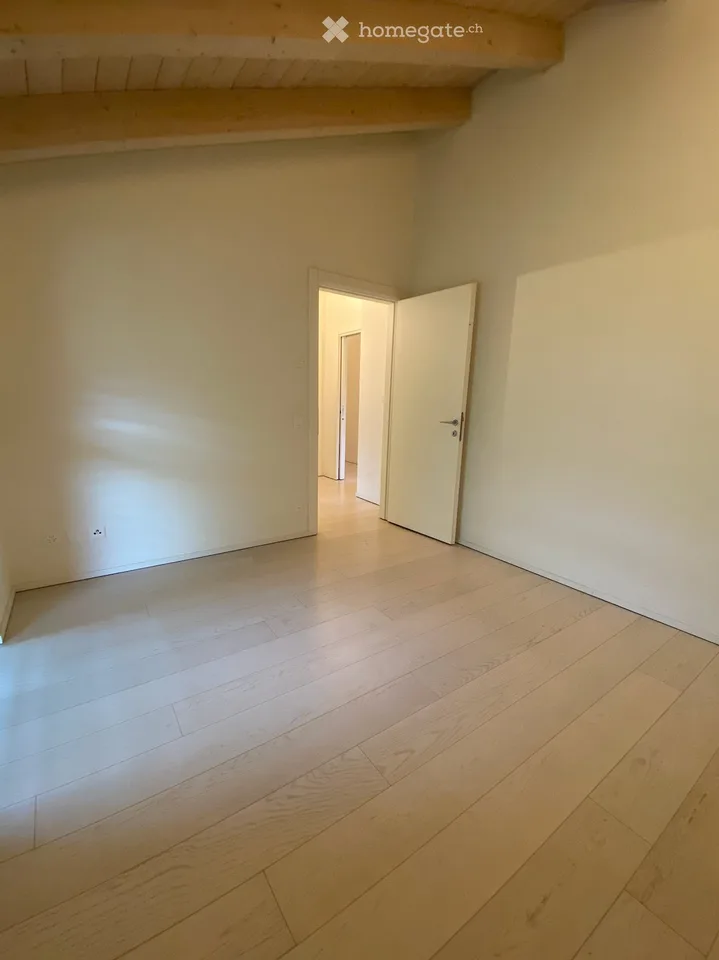 Helles 3.5-Zimmer-Apartment in Lugano mit Garage, Keller und inklusive Nebenkosten – Foto 4 von 5