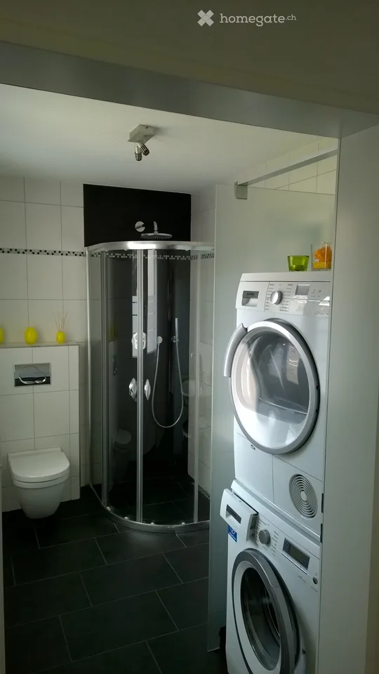 Neuwertige 4.5-Zimmerwohnung im 2. OG, 5705 Hallwil – Foto 5 von 5