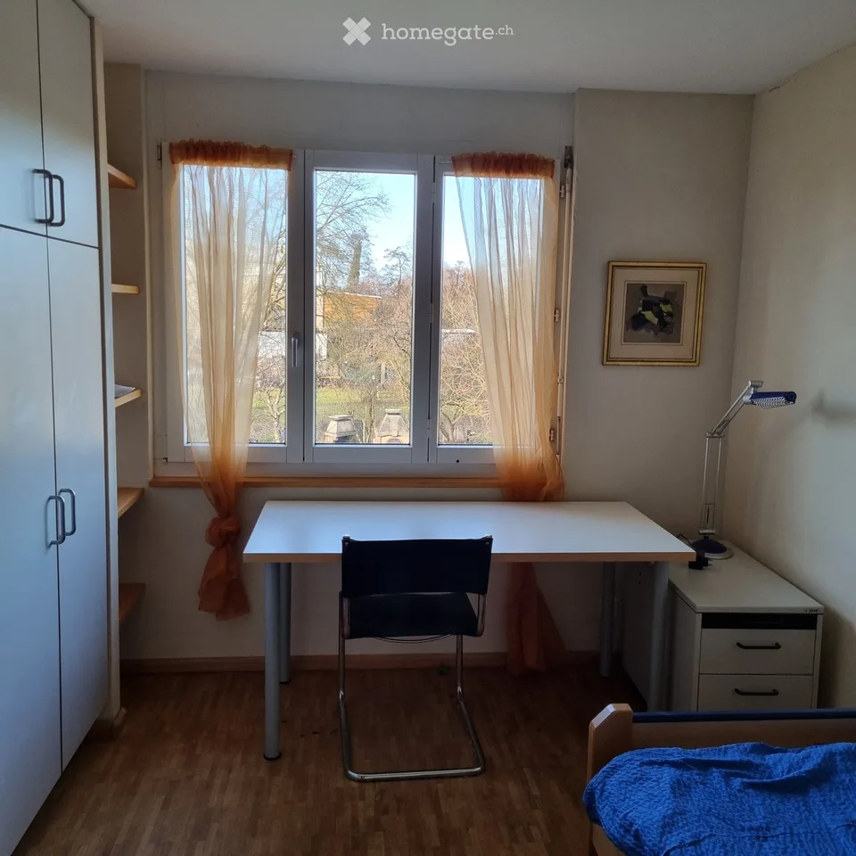 Grosszügiges, ruhig gelegenes Eckhaus, 6,5 Zimmer + Gallerie + Bastelzimmer. Grosser Garten – Foto 8 von 14