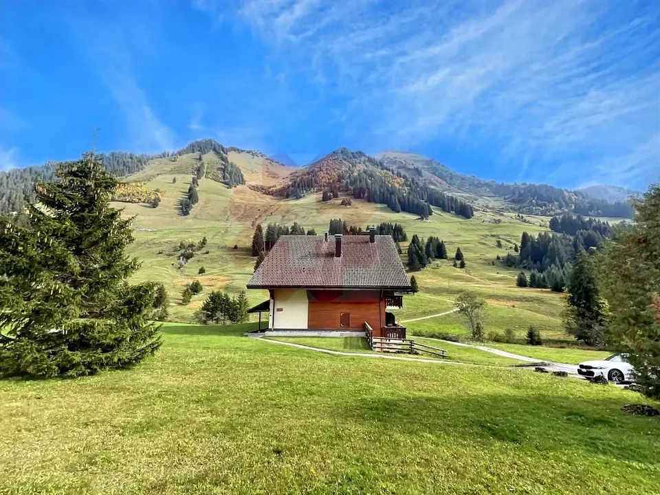 Charmantes 2.5-Zimmer-Dachwohnung in Les Mosses mit außergewöhnlicher Aussicht – Foto 4 von 13